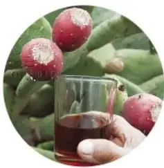 Fotografía circular de tunas rojas y un vaso con bebida roja oscura de nopal.