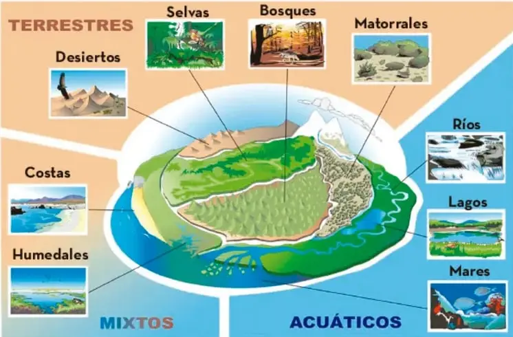 Infografía con un paisaje que integra ecosistemas terrestres (desiertos, selvas, bosques, matorrales), mixtos (costas, humedales) y acuáticos (ríos, lagos, mares), con fotografías representativas de cada uno.