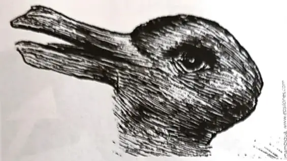 Imagen ambigua que puede observarse como un conejo o como un pato.