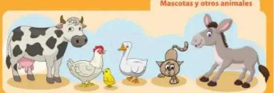 Cartel anaranjado con animales de granja y mascotas.