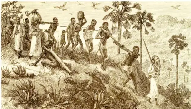 Grabado que muestra a un grupo de personas caminando en un entorno tropical, algunas cargando bultos y otras siendo conducidas, representando el traslado forzado de personas esclavizadas.
