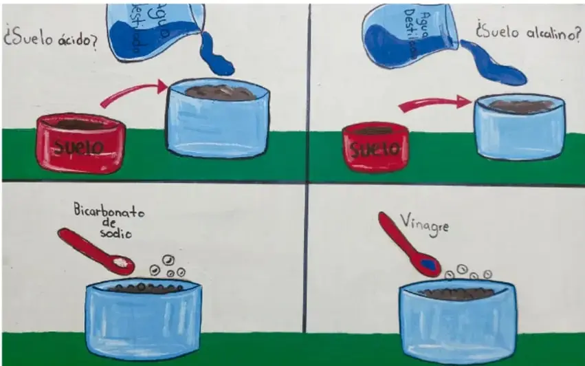 Ilustración de un vaso con tierra y una botella que vierte agua. Texto: ¿Suelo ácido? y una cuchara con bicarbonato de sodio.