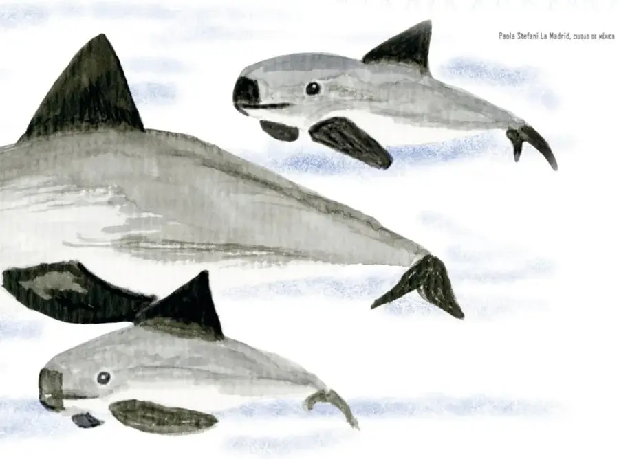 Ilustración en acuarela de tres vaquitas marinas (una grande y dos pequeñas) nadando juntas en el mar.