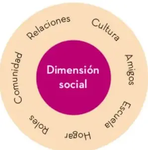 Diagrama circular: círculo rosa con el texto "Dimensión social" en el centro, rodeado de un anillo beige con los rótulos Relaciones, Cultura, Amigos, Escuela, Hogar, Roles y Comunidad.