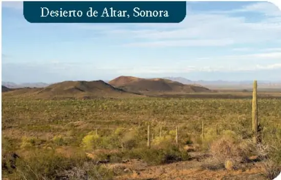 Arqueólogos trabajando en un abrigo rocoso de la Sierra del Mayor, Baja California.
