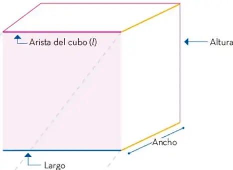 Cubo dibujado en perspectiva con etiquetas: Arista del cubo (l), Altura, Ancho y Largo; debajo a la izquierda un cuadrado rosa rotulado «Una cara del cubo», unido por líneas punteadas al cubo.