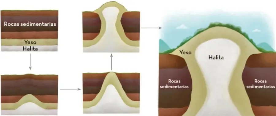 Secuencia de 5 cuadros que ilustran la formación de un diapiro: capas de rocas sedimentarias, yeso y halita; la halita asciende progresivamente, pliega las capas y aflora en superficie formando una colina, con el yeso flanqueándola. Crédito: Karina Eréndira Pérez Olmos, Michoacán.