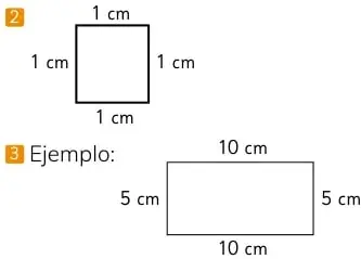Rectángulo de 10 cm de largo y 5 cm de ancho.