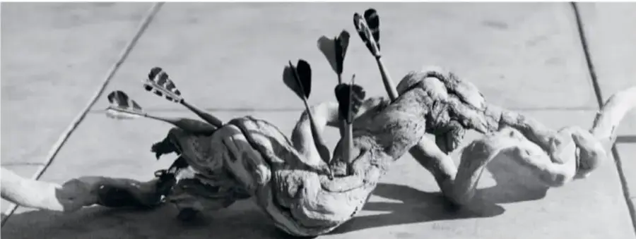 Escultura o ensamblaje de madera flotante con flechas clavadas, sobre una superficie clara.