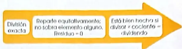 Figura 4 de Matematica 4° · 2025