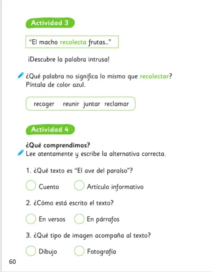 Recuadro verde con el título Actividad 3 y la oración 'El macho recolecta frutas...'