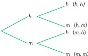 Árbol de posibilidades (diagrama ramificado) que parte de un nodo inicial y se ramifica en h (hombre) y m (mujer), y cada uno de esos se ramifica de nuevo en h y m, produciendo los resultados (h,h), (h,m), (m,h) y (m,m).