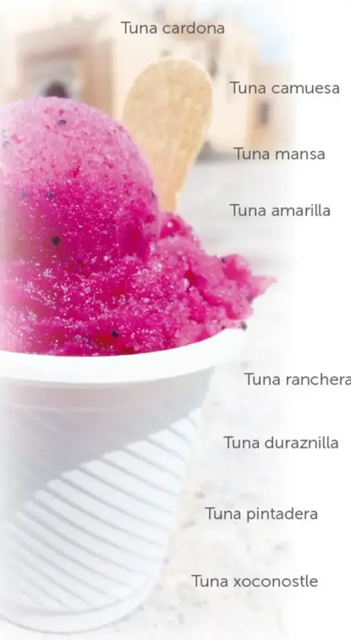 Nieve o helado de tuna rosa en un vaso con cuchara de madera, acompañado de una lista de variedades: tuna cardona, camuesa, mansa, amarilla, ranchera, duraznilla, pintadera y xoconostle.