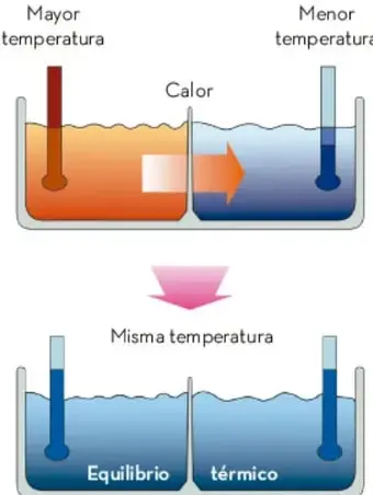 Ilustración de dos termómetros: uno en un recipiente con agua caliente (mayor temperatura) y otro en agua fría (menor temperatura). Una flecha muestra el flujo de calor. Debajo, otro par de termómetros en equilibrio térmico, ambos marcando la misma temperatura.