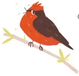 Pájaro gris y amarillo (parecido a un mosquero) con plumas rojas al pie, como si escribiera apuntes.