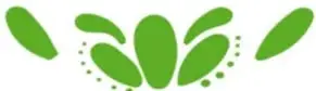 Ícono decorativo verde en forma de hojas o alimento junto al texto.