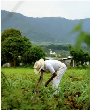 Fotografía de una persona con sombrero trabajando la tierra en un cultivo, con vegetación y montañas al fondo, ilustrando temas como cultivo de la tierra y vida comunitaria.