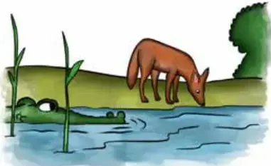Ilustración de un chacal bebiendo agua de un río donde asoma un cocodrilo.