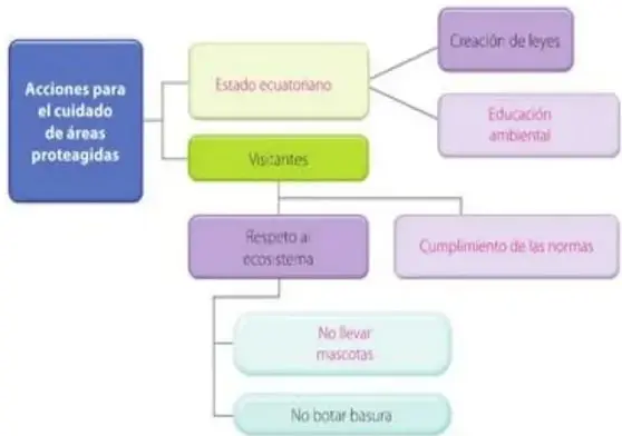 Figura 3 de Estudios Sociales 5° · Egb 5 Estudios Sociales 2024 · 2024