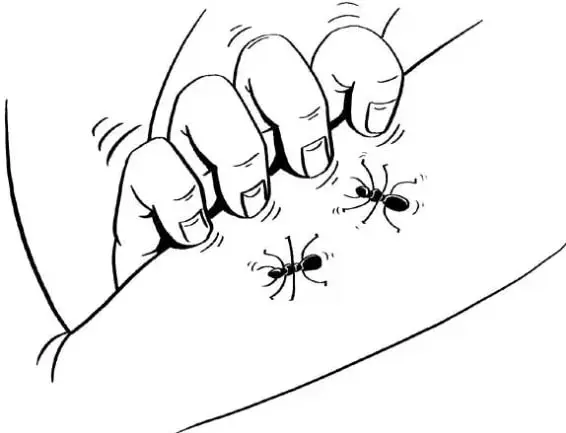 Ilustración de unos dedos que tocan a dos insectos parecidos a arañas; líneas de movimiento indican el contacto.