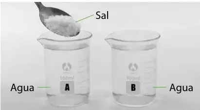 Dos vasos de precipitado rotulados A y B con agua; una cuchara agrega sal al vaso A. Flechas señalan 'Sal' y 'Agua'.