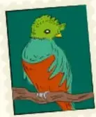 Ilustración de un ave verde y naranja posada en una rama.