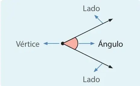 Esquema de un ángulo: dos rayos llamados 'Lado' que parten de un punto común llamado 'Vértice'; la abertura entre ellos se rotula 'Ángulo' y está sombreada en color rosado.