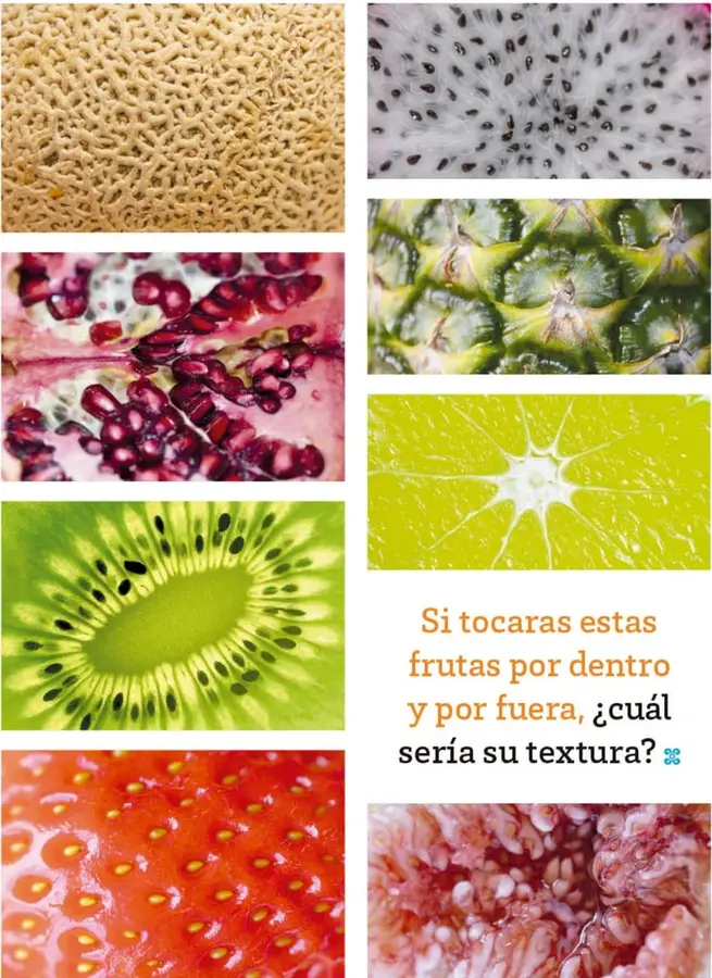 Figura 1 de Múltiples lenguajes. Libro de Educación Primaria Grado 2° Ciclo Escolar 2025 - 2026
