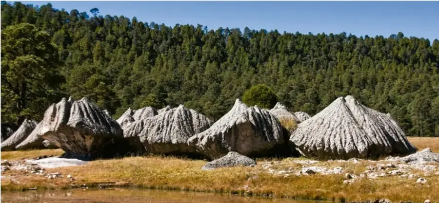 Fotografía de un conjunto de viviendas con muros de piedra blanca y techos cónicos de paja, en un claro con pastizal seco, rodeado de un bosque de árboles verdes al fondo. Representa una comunidad originaria en su entorno natural.