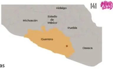Máscara de Malinaltepec con mosaicos de turquesa y amazonita, ojos de hematita y collar de conchas.