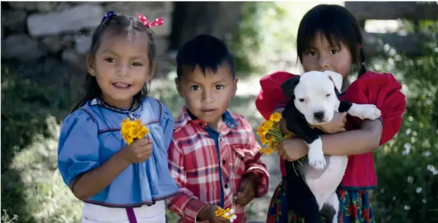 Fotografía de tres niñas y niños de comunidad indígena al aire libre; dos niñas sostienen flores amarillas y una carga a un perrito blanco con negro.