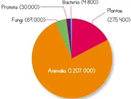 Gráfica circular que muestra la cantidad de especies de los cinco reinos: Animalia (1 207 000), Plantae (275 400), Fungi (69 000), Protista (30 000), Bacteria (4 800).