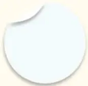 Círculo blanco vacío para escribir o dibujar.
