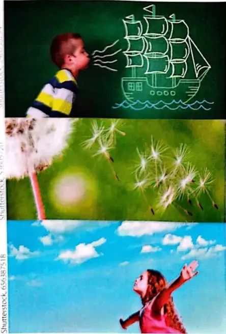 Semillas de diente de león que son transportadas por el aire.