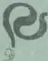 Grabado de una calavera vestida de charro con sombrero de ala ancha, espada en mano derecha y capa, rodeada de esqueletos y figuras humanas.