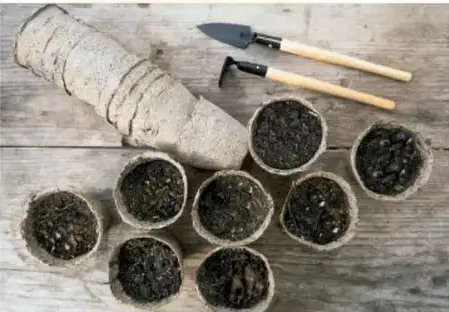 Macetas de papel periódico con tierra y herramientas de jardinería.