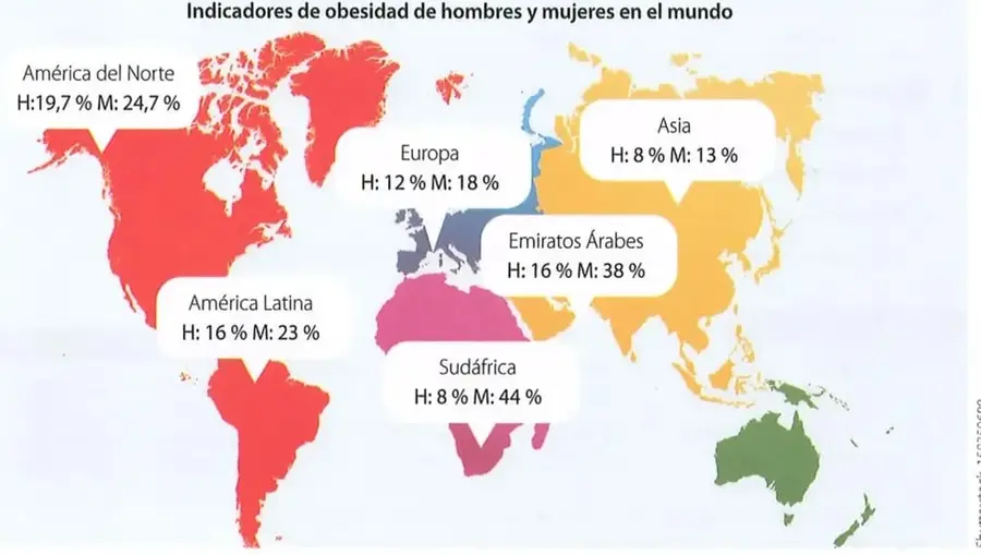 Figura 1 de Estudios Sociales 8° · 2025