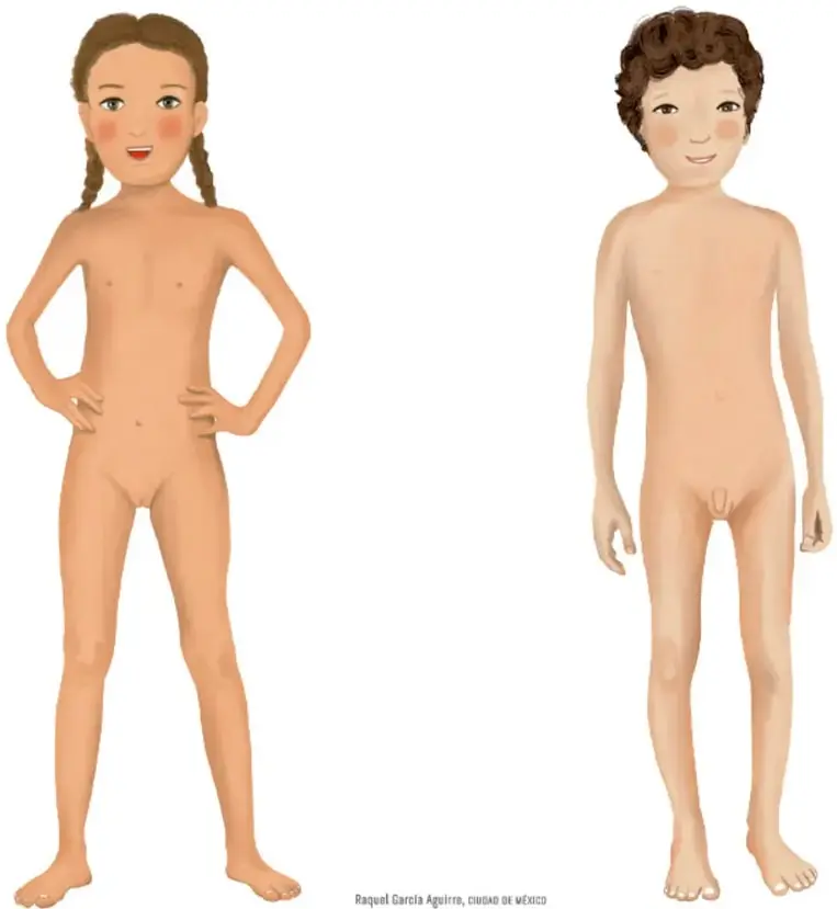 Figura de una niña con trenzas, de pie, con las manos en la cintura, y figura de un niño de pie con los brazos a los lados. Ambos de cuerpo completo y sin ropa, para identificar las partes del cuerpo.