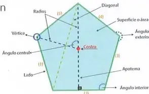 Fila de figuras geométricas para identificar cuáles son polígonos.