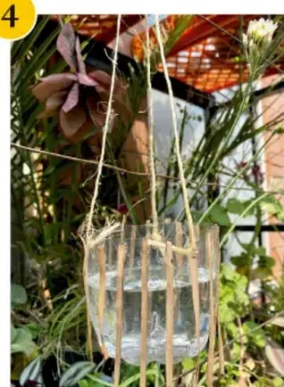 Bebedero colgado entre plantas con agua, listo para que las aves beban.