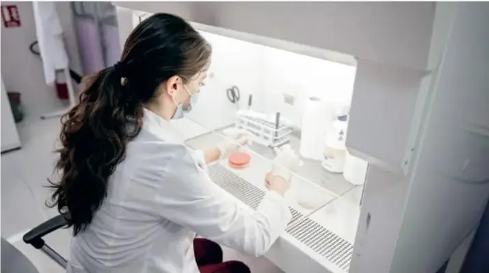 Fotografía de una persona con bata blanca y mascarilla trabajando en una campana de flujo laminar en un laboratorio de análisis clínico, con placas de Petri y material de laboratorio.
