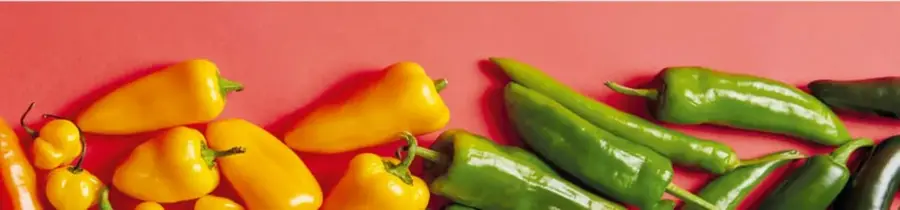 Fotografía de chiles frescos: habaneros amarillos, morrones amarillos y jalapeños verdes sobre fondo rosa.