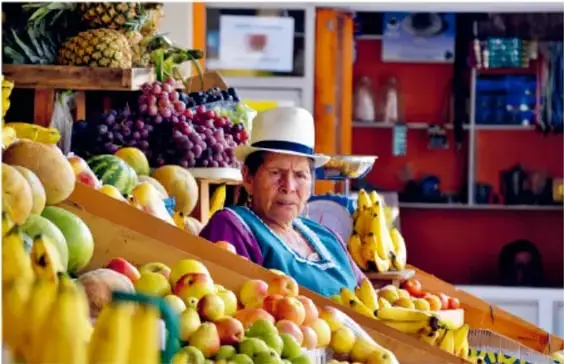 Fotografía de una vendedora en un puesto de mercado rodeada de frutas y verduras (plátanos, manzanas, uvas, piñas), ilustrando los productos de la canasta básica.