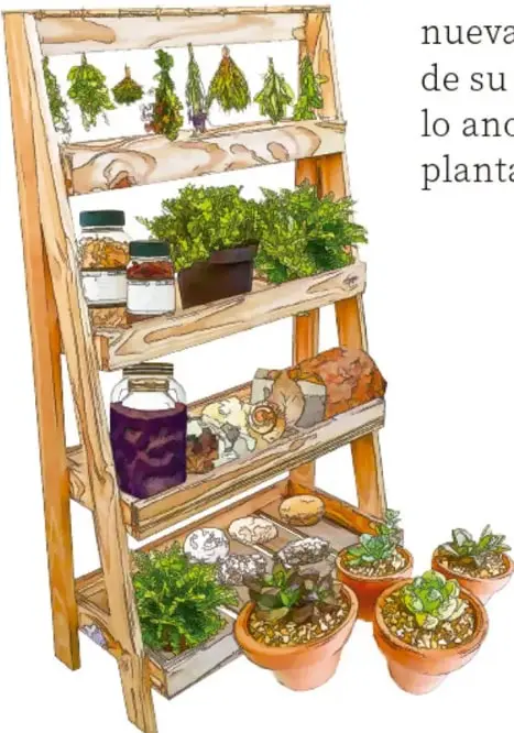 Ilustración de un estante de madera con macetas de plantas, frascos de hierbas secas y envases, que representa materiales y contenedores para el huerto.