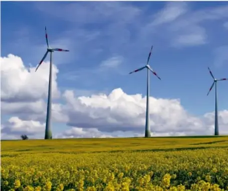 Fotografía de un campo de flores amarillas con tres aerogeneradores (molinos de viento) bajo un cielo azul con nubes blancas, símbolo de energía renovable.