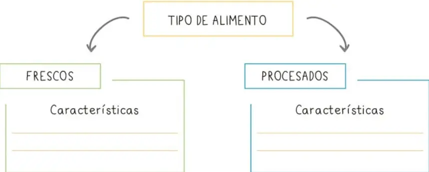 Esquema con el concepto TIPO DE ALIMENTO y dos ramas: FRESCOS y PROCESADOS, cada una con un recuadro de Características.