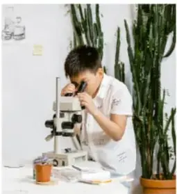 Fotografía de una persona usando un microscopio óptico en un laboratorio.