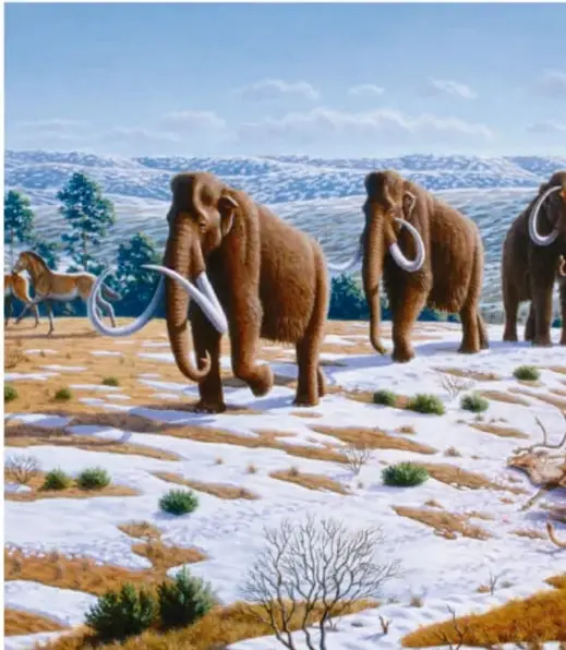 Ilustración de mamuts lanudos caminando en un paisaje nevado con montañas al fondo.