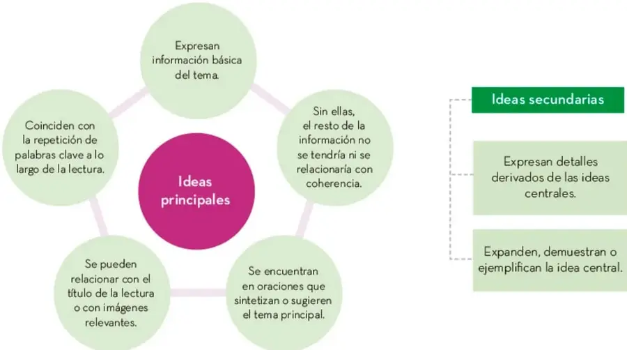 Esquema radial: un círculo central magenta con el texto «Ideas principales» rodeado de cinco globos verdes con sus características; a la derecha, un recuadro verde «Ideas secundarias» con dos tarjetas que detallan sus características.