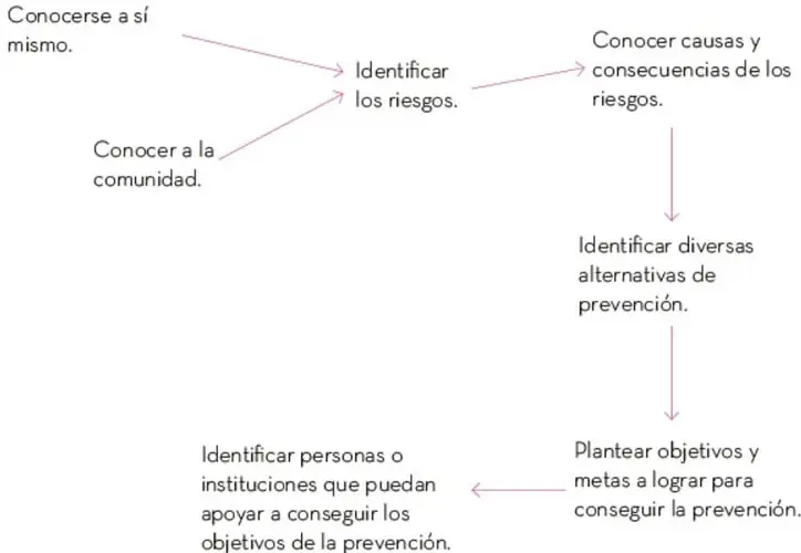 Diagrama de flujo con flechas rosas que muestra los pasos para establecer estrategias de prevención primaria: conocerse a sí mismo y conocer a la comunidad → identificar los riesgos → causas y consecuencias → alternativas de prevención → objetivos y metas → personas o instituciones de apoyo.